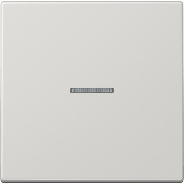 JUNG Wippe Lichtleiter lgr für Schalter/Taster LS 990 KO5 LG